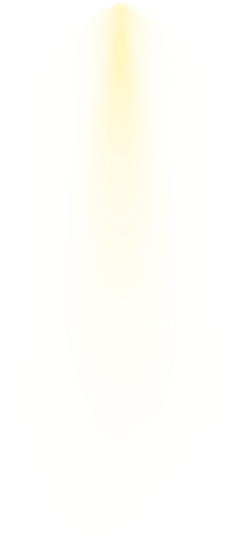 Spotlight luz eani